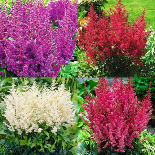  ASTIBLE Wohnset - Tawułka 4-tlg.